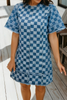 Checked out Frayed Hem Checkered Denim Mini Dress